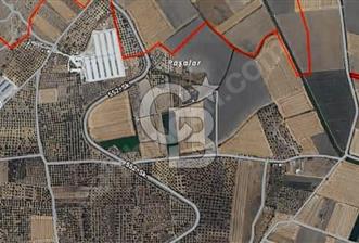 Menemen Türkelide Satılık Müstakil Tapulu Bağ Evi - 1 - 367136