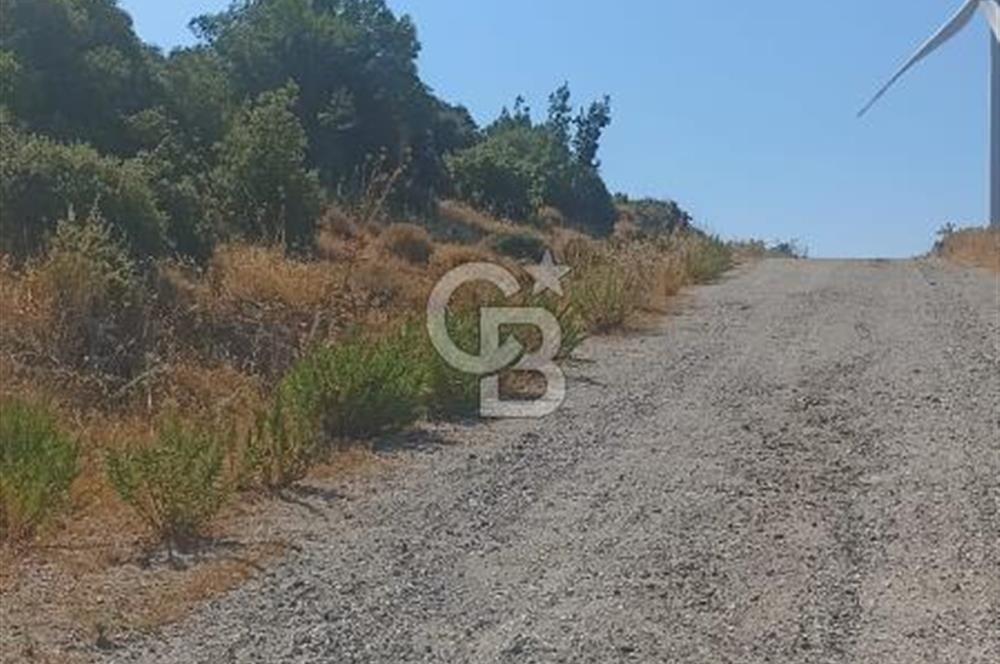 İzmir bergama koyunelinde aliaga yakin koykenari arazi