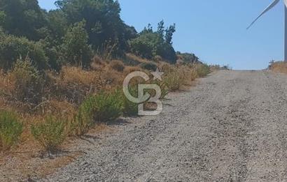 İzmir bergama koyunelinde aliaga yakin koykenari arazi