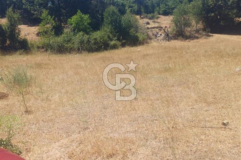 OSB ye 10 dk mesafede köydibi düz arazi