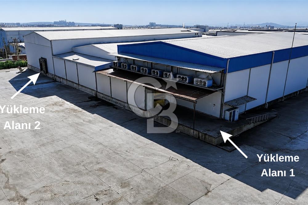 Salihli OSB'de KDV'li Kiralık İşleme Tesisi ve Soğuk Hava Deposu