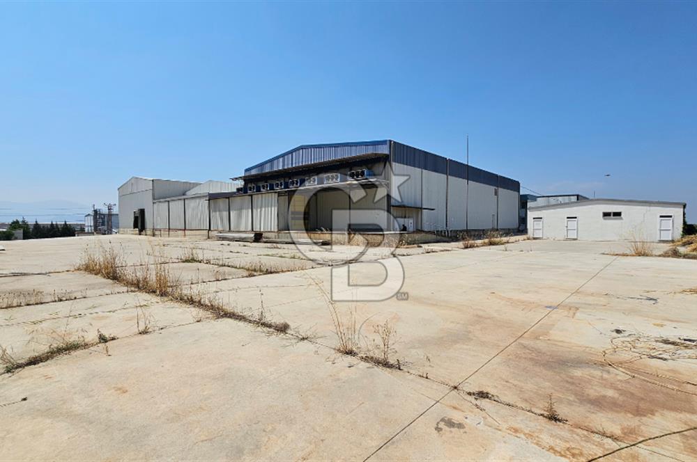 Salihli OSB'de KDV'li Kiralık İşleme Tesisi ve Soğuk Hava Deposu