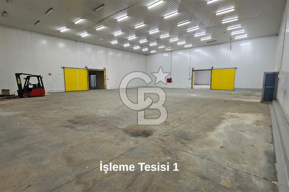 Salihli OSB'de KDV'li Kiralık İşleme Tesisi ve Soğuk Hava Deposu