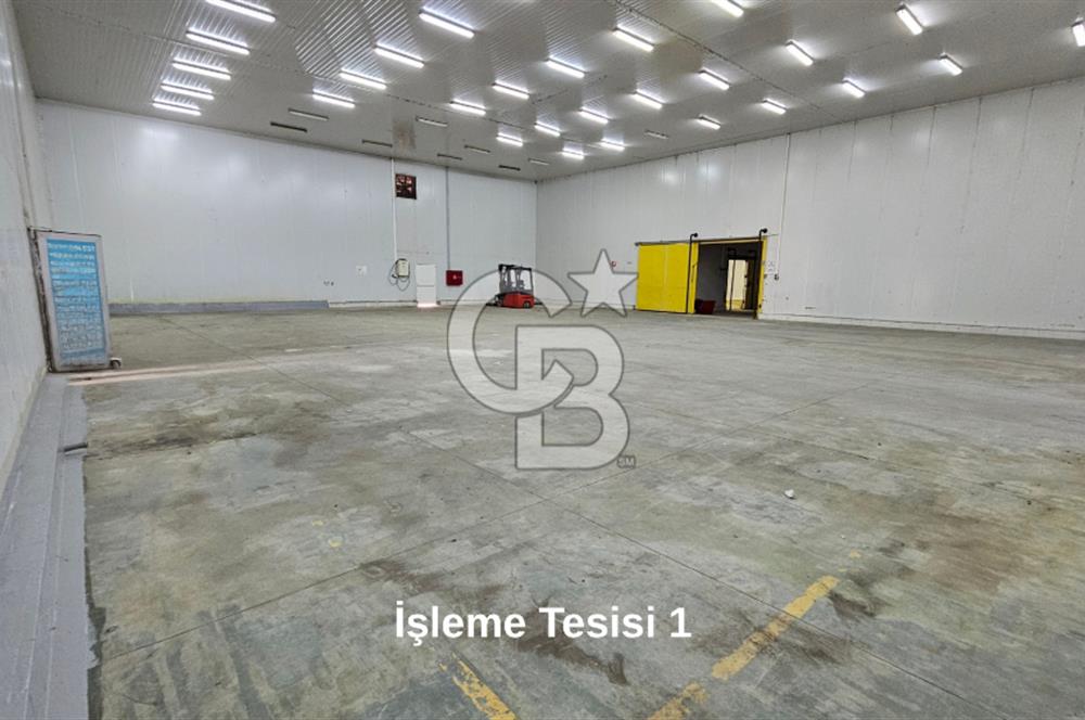Salihli OSB'de KDV'li Kiralık İşleme Tesisi ve Soğuk Hava Deposu