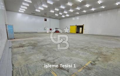 Salihli OSB'de KDV'li Kiralık İşleme Tesisi ve Soğuk Hava Deposu