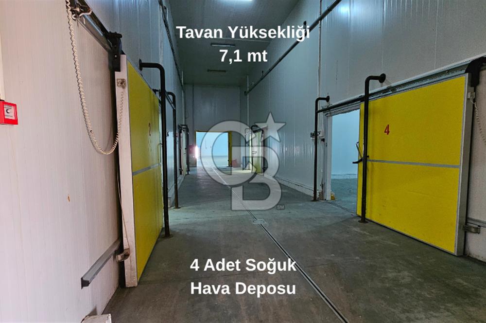 Salihli OSB'de KDV'li Kiralık İşleme Tesisi ve Soğuk Hava Deposu