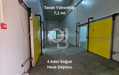 Salihli OSB'de KDV'li Kiralık İşleme Tesisi ve Soğuk Hava Deposu