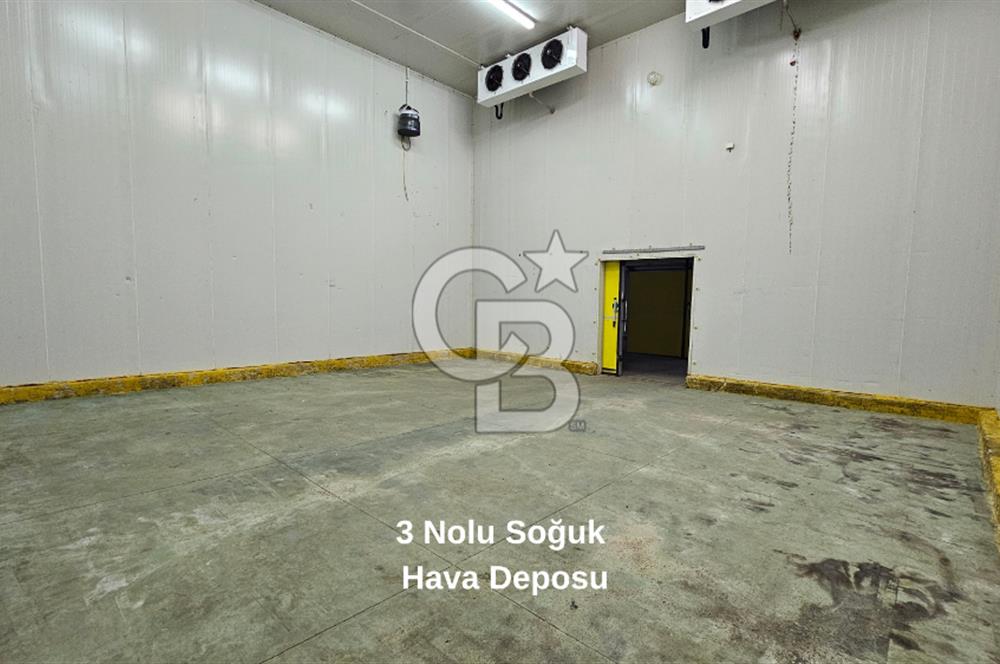 Salihli OSB'de KDV'li Kiralık İşleme Tesisi ve Soğuk Hava Deposu