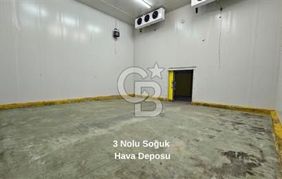 Salihli OSB'de KDV'li Kiralık İşleme Tesisi ve Soğuk Hava Deposu