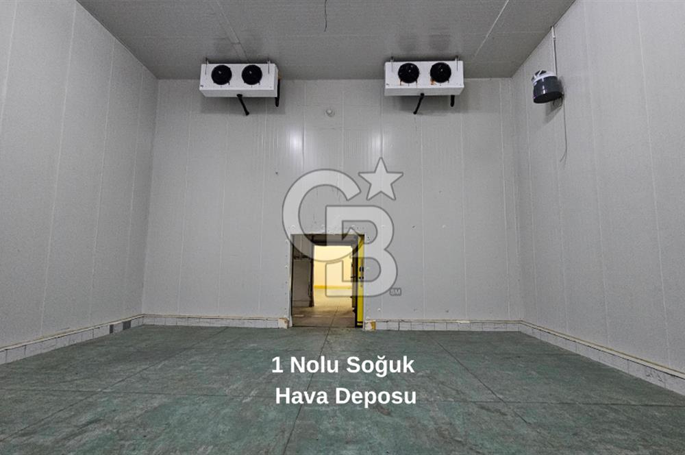 Salihli OSB'de KDV'li Kiralık İşleme Tesisi ve Soğuk Hava Deposu
