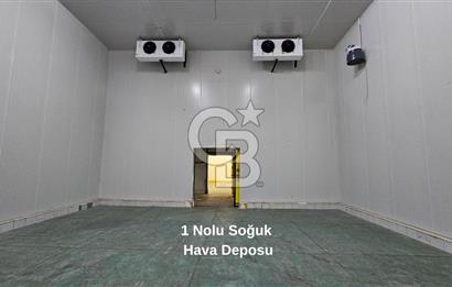 Salihli OSB'de KDV'li Kiralık İşleme Tesisi ve Soğuk Hava Deposu