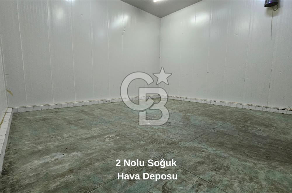 Salihli OSB'de KDV'li Kiralık İşleme Tesisi ve Soğuk Hava Deposu