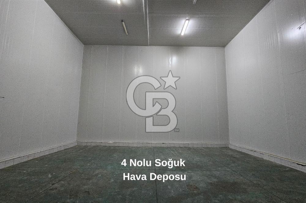 Salihli OSB'de KDV'li Kiralık İşleme Tesisi ve Soğuk Hava Deposu