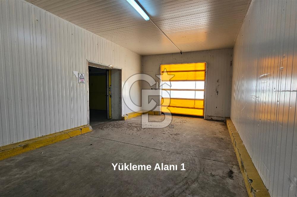 Salihli OSB'de KDV'li Kiralık İşleme Tesisi ve Soğuk Hava Deposu
