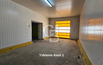 Salihli OSB'de KDV'li Kiralık İşleme Tesisi ve Soğuk Hava Deposu