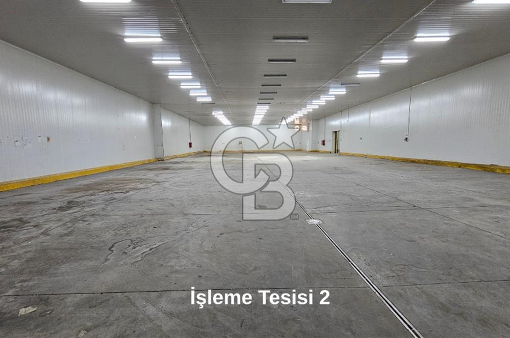 Salihli OSB'de KDV'li Kiralık İşleme Tesisi ve Soğuk Hava Deposu