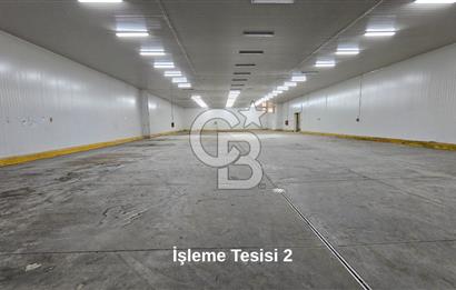 Salihli OSB'de KDV'li Kiralık İşleme Tesisi ve Soğuk Hava Deposu