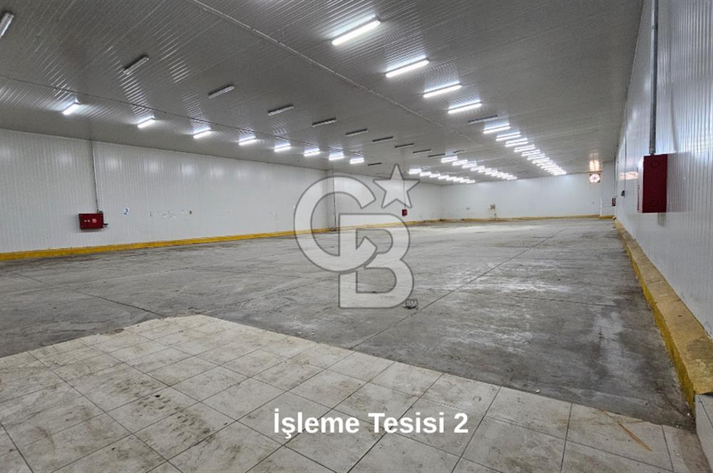 Salihli OSB'de KDV'li Kiralık İşleme Tesisi ve Soğuk Hava Deposu