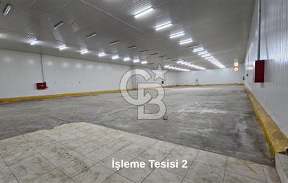 Salihli OSB'de KDV'li Kiralık İşleme Tesisi ve Soğuk Hava Deposu