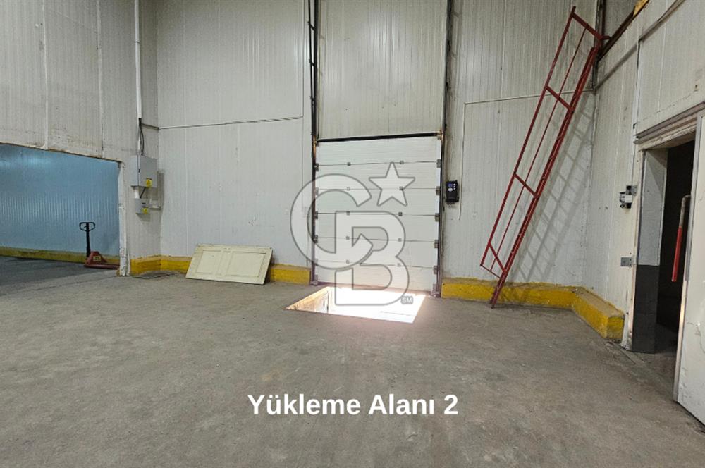 Salihli OSB'de KDV'li Kiralık İşleme Tesisi ve Soğuk Hava Deposu