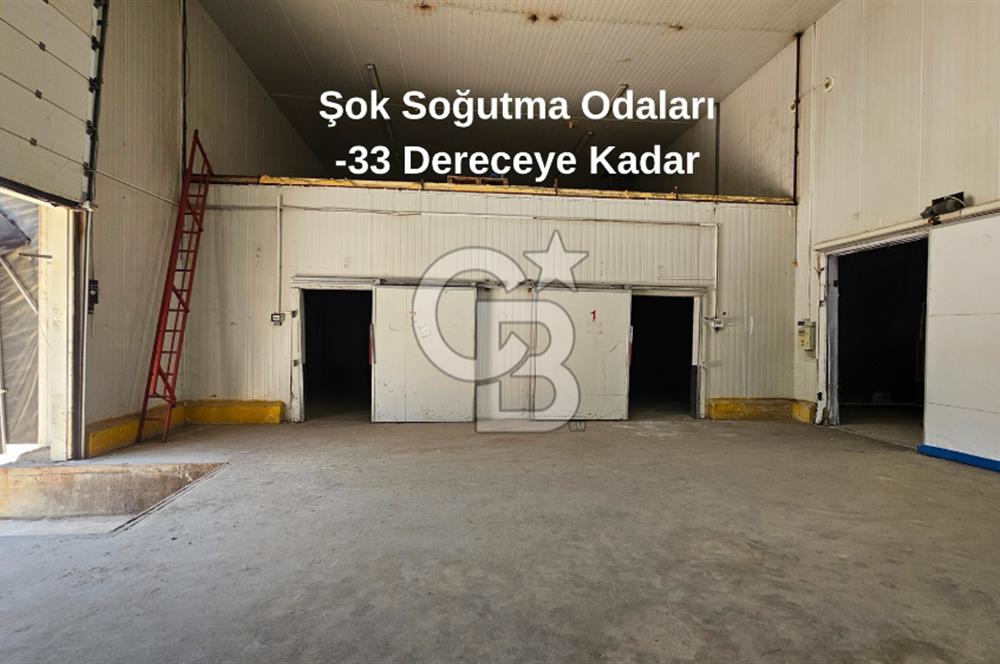 Salihli OSB'de KDV'li Kiralık İşleme Tesisi ve Soğuk Hava Deposu