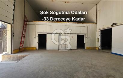 Salihli OSB'de KDV'li Kiralık İşleme Tesisi ve Soğuk Hava Deposu