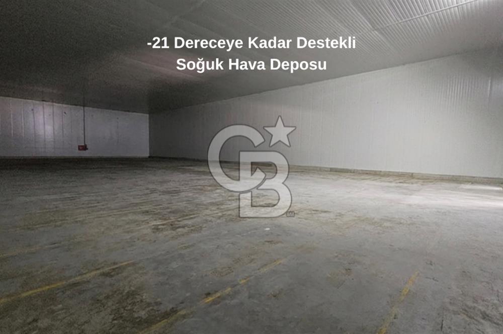 Salihli OSB'de KDV'li Kiralık İşleme Tesisi ve Soğuk Hava Deposu