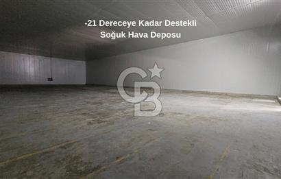 Salihli OSB'de KDV'li Kiralık İşleme Tesisi ve Soğuk Hava Deposu