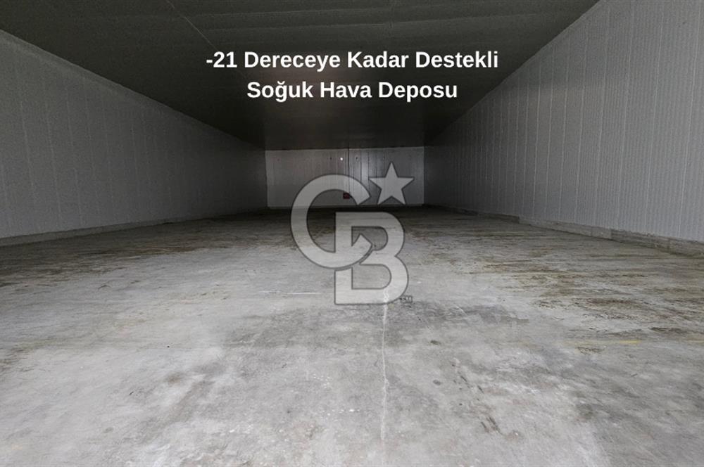 Salihli OSB'de KDV'li Kiralık İşleme Tesisi ve Soğuk Hava Deposu