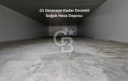 Salihli OSB'de KDV'li Kiralık İşleme Tesisi ve Soğuk Hava Deposu
