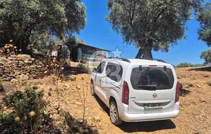 İzmir Bayındır Çeniklerde İçinde Prefabrik Evi Bulunan 202 m Müstakil Tapulu Zeytinlik 