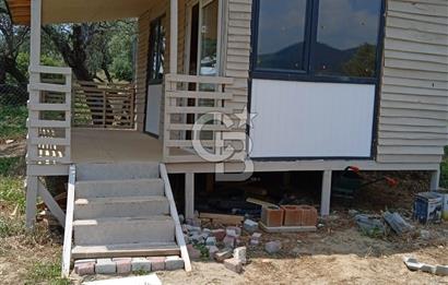 İzmir Bayındır Çeniklerde İçinde Prefabrik Evi Bulunan 202 m Müstakil Tapulu Zeytinlik 