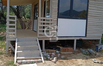 İzmir Bayındır Çeniklerde İçinde Prefabrik Evi Bulunan 202 m Müstakil Tapulu Zeytinlik 