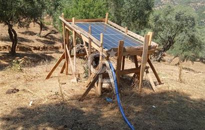 İzmir Bayındır Çeniklerde İçinde Prefabrik Evi Bulunan 202 m Müstakil Tapulu Zeytinlik 