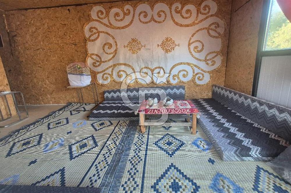 İzmir Bayındır Çeniklerde İçinde Prefabrik Evi Bulunan 202 m Müstakil Tapulu Zeytinlik 