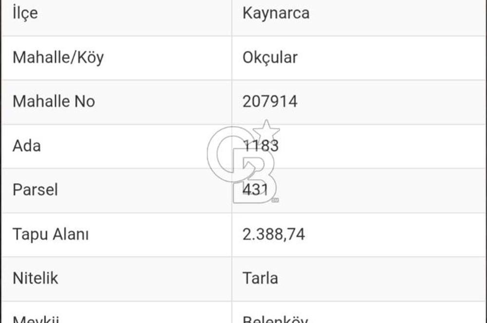 Sakarya Kaynarca Okçular'da yatırımlık tarla