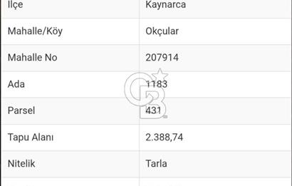 Sakarya Kaynarca Okçular'da yatırımlık tarla
