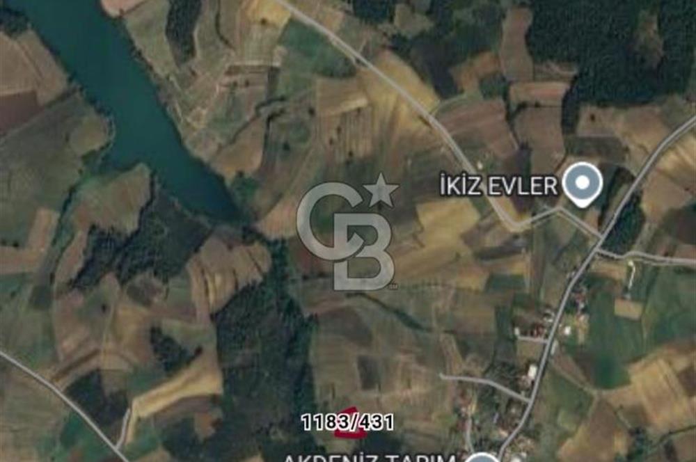 Sakarya Kaynarca Okçular'da yatırımlık tarla