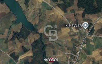 Sakarya Kaynarca Okçular'da yatırımlık tarla
