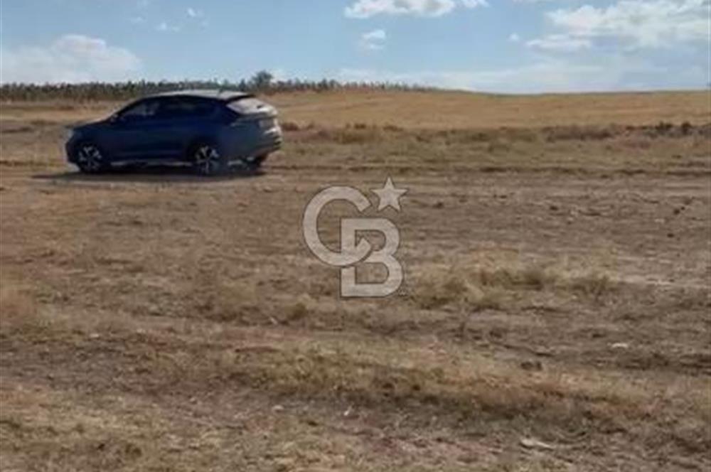Kütahya Altıntaşta köydibi OSB ye yakın yatirimlik arazi