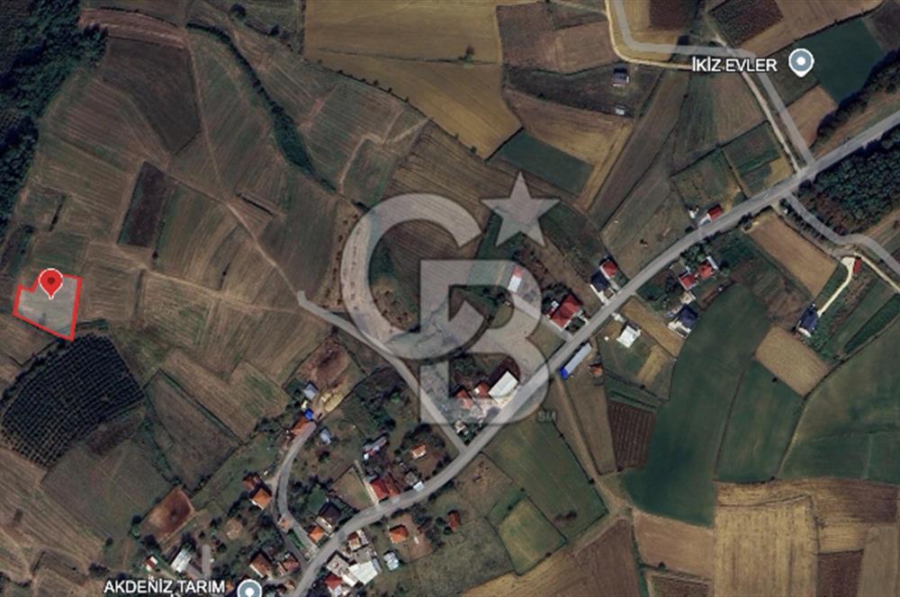 Sakarya Kaynarca Okçular'da yatırımlık tarla