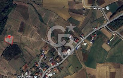 Sakarya Kaynarca Okçular'da yatırımlık tarla