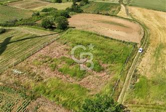 Tekirdağ Muratlı Balaban'lı da Satılık Bağ Yeri - 12 - 367163