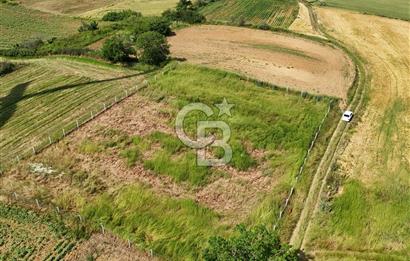 Tekirdağ Muratlı Balaban'lı da Satılık Bağ Yeri