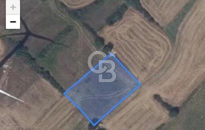 Tekirdağ Muratlı Balaban'lı da Satılık Bağ Yeri