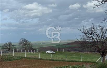 Tekirdağ Muratlı Balaban'lı da Satılık Bağ Yeri
