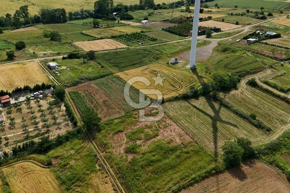 Tekirdağ Muratlı Balaban'lı da Satılık Bağ Yeri