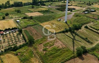 Tekirdağ Muratlı Balaban'lı da Satılık Bağ Yeri