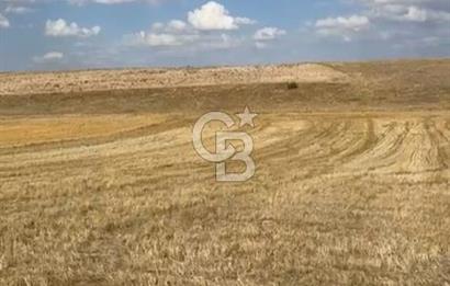 Kütahya Altıntaşta köydibi OSB ye yakın yatirimlik arazi
