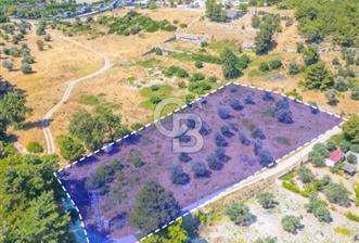 Urla Torasan da yatırımlık tarla  - 8 - 367239